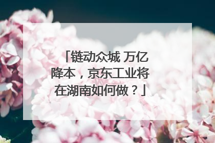 链动众城 万亿降本，京东工业将在湖南如何做？