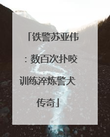 铁警苏亚伟：数百次扑咬训练淬炼警犬传奇