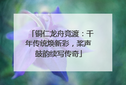 铜仁龙舟竞渡：千年传统焕新彩，桨声鼓韵续写传奇