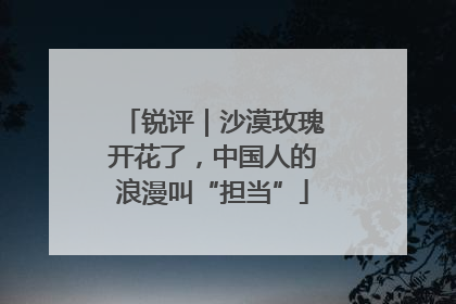 锐评｜沙漠玫瑰开花了，中国人的浪漫叫“担当”