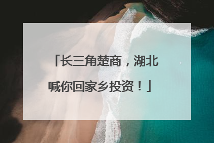 长三角楚商，湖北喊你回家乡投资！