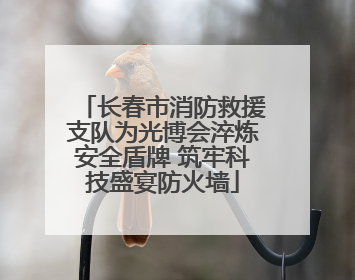 长春市消防救援支队为光博会淬炼安全盾牌 筑牢科技盛宴防火墙
