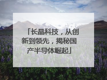 长晶科技，从创新到领先，揭秘国产半导体崛起