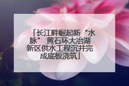 长江畔崛起新“水脉” 黄石环大冶湖新区供水工程沉井完成底板浇筑