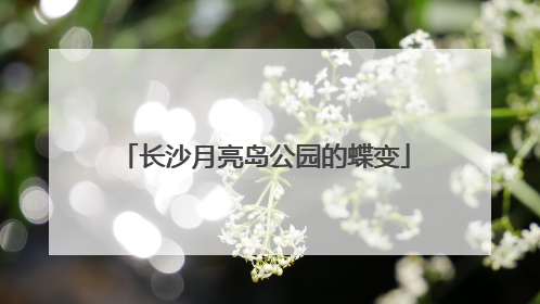 长沙月亮岛公园的蝶变