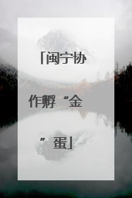 闽宁协作孵“金”蛋