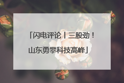 闪电评论丨三股劲！山东勇攀科技高峰