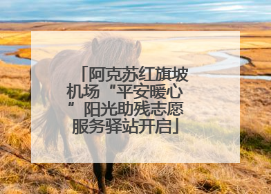 阿克苏红旗坡机场“平安暖心”阳光助残志愿服务驿站开启