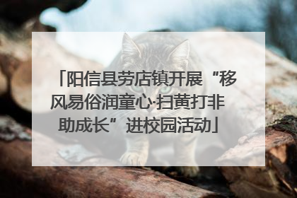 阳信县劳店镇开展“移风易俗润童心·扫黄打非助成长”进校园活动