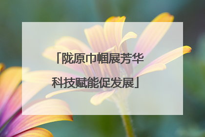 陇原巾帼展芳华 科技赋能促发展