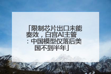 限制芯片出口未能奏效，白宫AI主管：中国模型仅落后美国不到半年