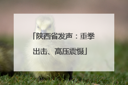陕西省发声：重拳出击、高压震慑