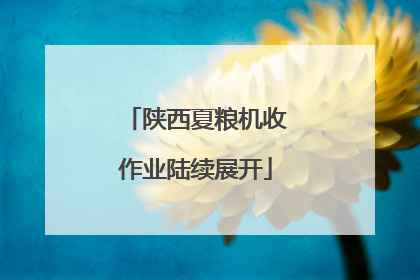 陕西夏粮机收作业陆续展开