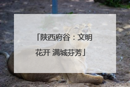 陕西府谷：文明花开 满城芬芳