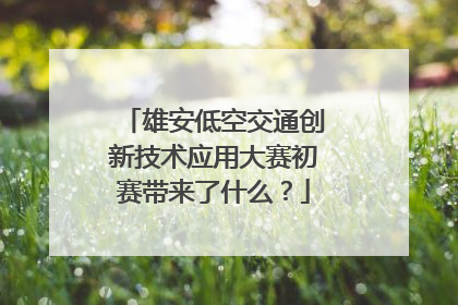 雄安低空交通创新技术应用大赛初赛带来了什么？
