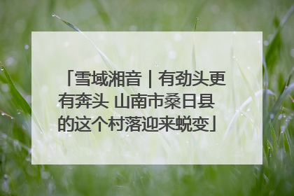 雪域湘音｜有劲头更有奔头 山南市桑日县的这个村落迎来蜕变