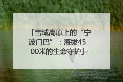 雪域高原上的“宁波门巴”：海拔4500米的生命守护