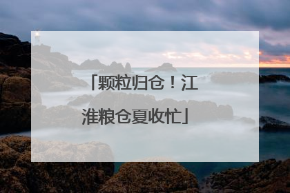 颗粒归仓！江淮粮仓夏收忙