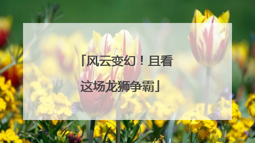 风云变幻！且看这场龙狮争霸