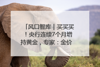 风口智库｜买买买！央行连续7个月增持黄金，专家：金价或仍易涨难跌