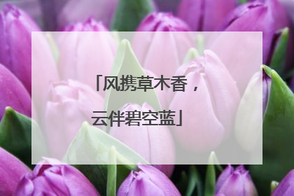 风携草木香，云伴碧空蓝