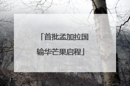 首批孟加拉国输华芒果启程