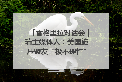 香格里拉对话会｜瑞士媒体人：美国施压盟友“极不理性” 欧洲国家无意与中国“脱钩断链”