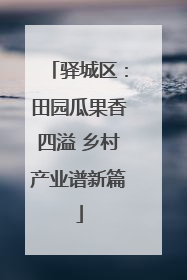 驿城区：田园瓜果香四溢 乡村产业谱新篇