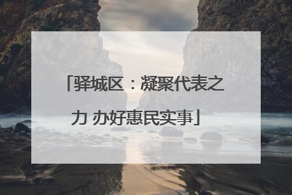 驿城区：凝聚代表之力 办好惠民实事