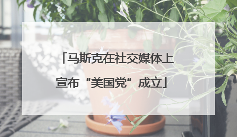 马斯克在社交媒体上宣布“美国党”成立