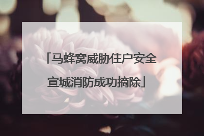 马蜂窝威胁住户安全 宣城消防成功摘除
