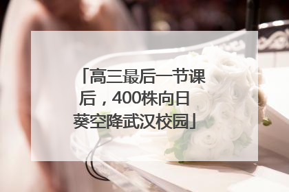 高三最后一节课后，400株向日葵空降武汉校园