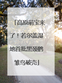 高原萌宝来了！若尔盖湿地首批黑颈鹤雏鸟破壳