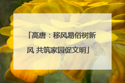 高唐：移风易俗树新风 共筑家园促文明