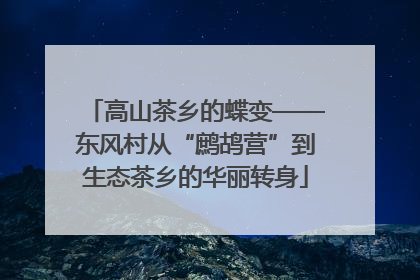 高山茶乡的蝶变——东风村从“鹧鸪营”到生态茶乡的华丽转身