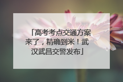 高考考点交通方案来了，精确到米！武汉武昌交警发布
