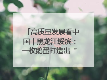 高质量发展看中国｜黑龙江绥滨：一枚鹅蛋打造出“产业图腾”