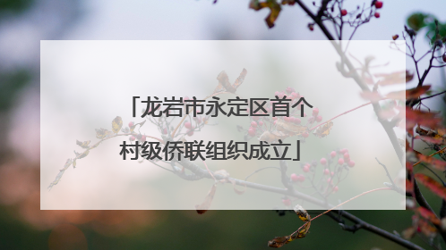 龙岩市永定区首个村级侨联组织成立