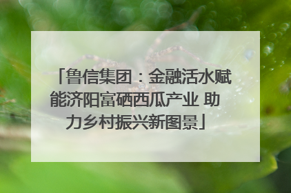 鲁信集团：金融活水赋能济阳富硒西瓜产业 助力乡村振兴新图景