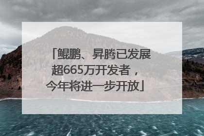 鲲鹏、昇腾已发展超665万开发者，今年将进一步开放