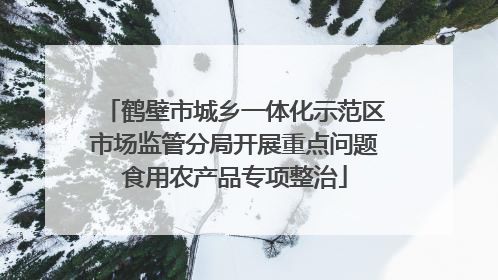 鹤壁市城乡一体化示范区市场监管分局开展重点问题食用农产品专项整治