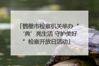 鹤壁市检察机关举办“‘典’亮生活 守护美好”检察开放日活动