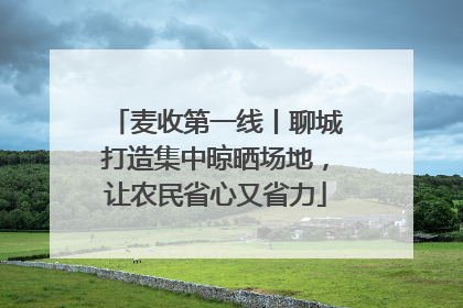 麦收第一线丨聊城打造集中晾晒场地，让农民省心又省力