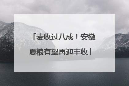 麦收过八成！安徽夏粮有望再迎丰收