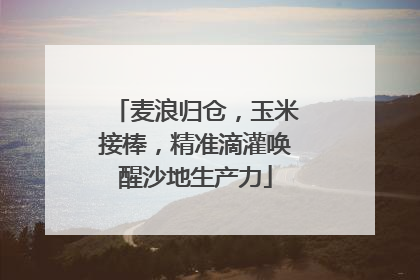 麦浪归仓，玉米接棒，精准滴灌唤醒沙地生产力