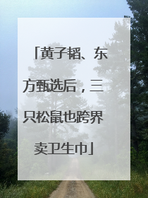黄子韬、东方甄选后，三只松鼠也跨界卖卫生巾