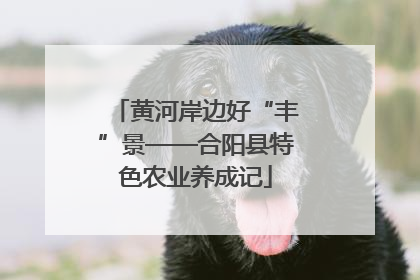 黄河岸边好“丰”景——合阳县特色农业养成记