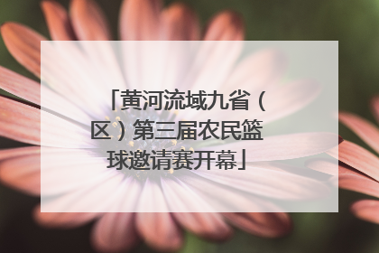 黄河流域九省（区）第三届农民篮球邀请赛开幕