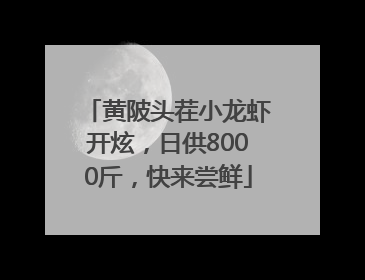 黄陂头茬小龙虾开炫，日供8000斤，快来尝鲜