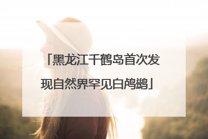 黑龙江千鹤岛首次发现自然界罕见白鸬鹚